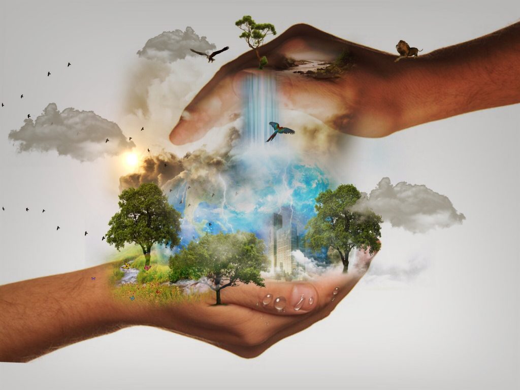 nature conservation