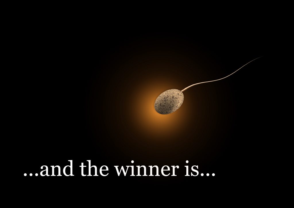 sperm