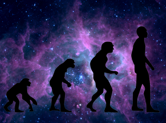 Evolution