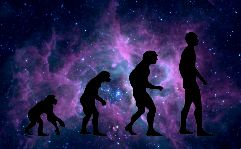 Evolution